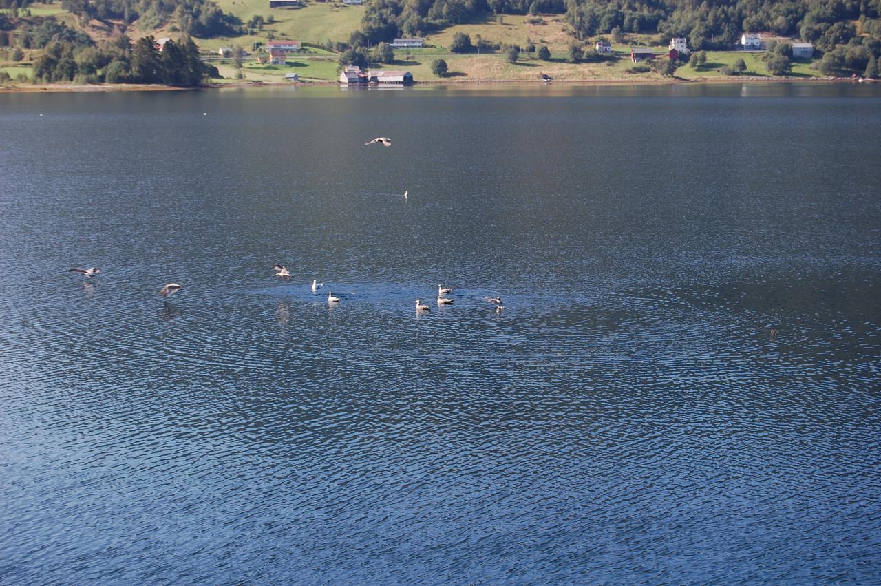 Fagervik Camping Tresfjord ภายนอก รูปภาพ